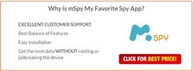 How Does Mspy Work on Iphone